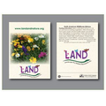 Wildflower Mixture - 11 Variety - Seed Packet